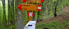 A New Year & New Blog: Welcome to The Runner’s Trip