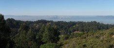 Baptism by Firetrails: A Debut 50-Miler Through the East Bay Hills