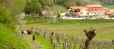 Northern Italy: Races and Places to Run and Hike, Dolce-Vita Style