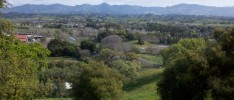 Racing and Tasting at the Santa Barbara Wine Country Half Marathon