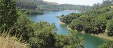 Join Me for Summer Fun at the Skyline 50K