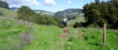 Just Do Diablo: A Quick and Dirty Report on Running the East Bay Area’s Best Mountain