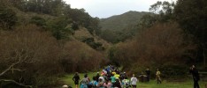 Trail Racing and Ultramarathoning Today: Sometimes Too Big, Never Too Small, Mostly Just Right.