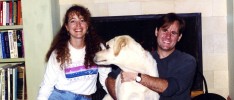 Fateful Steps in 1995