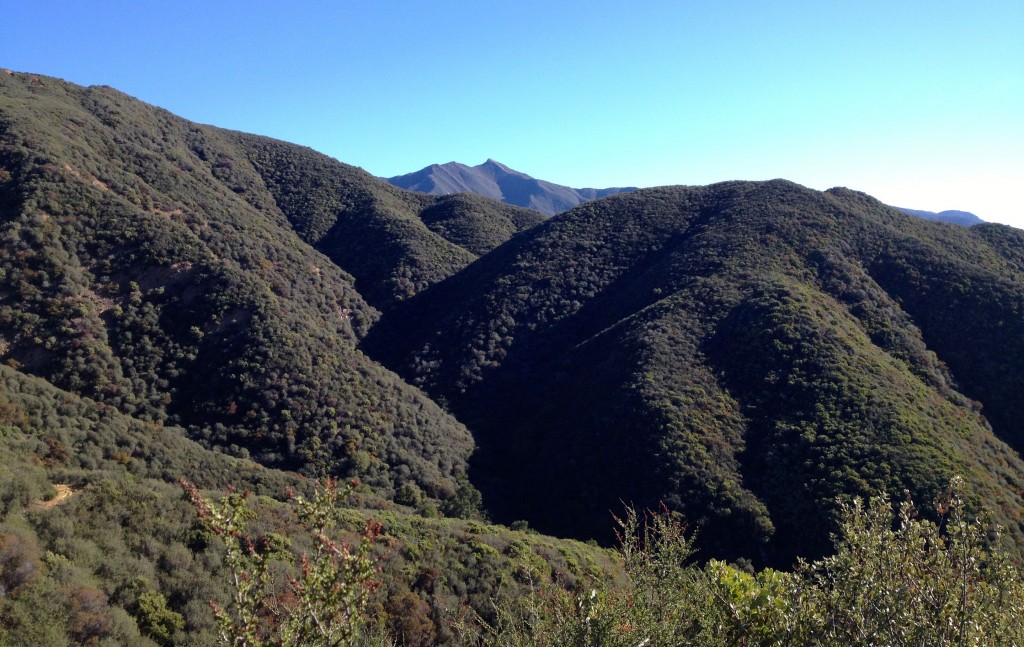 Chief Peak-- the chief's "nose" and "eye," way in the background behind the hills, as seen from Gridley Trail.