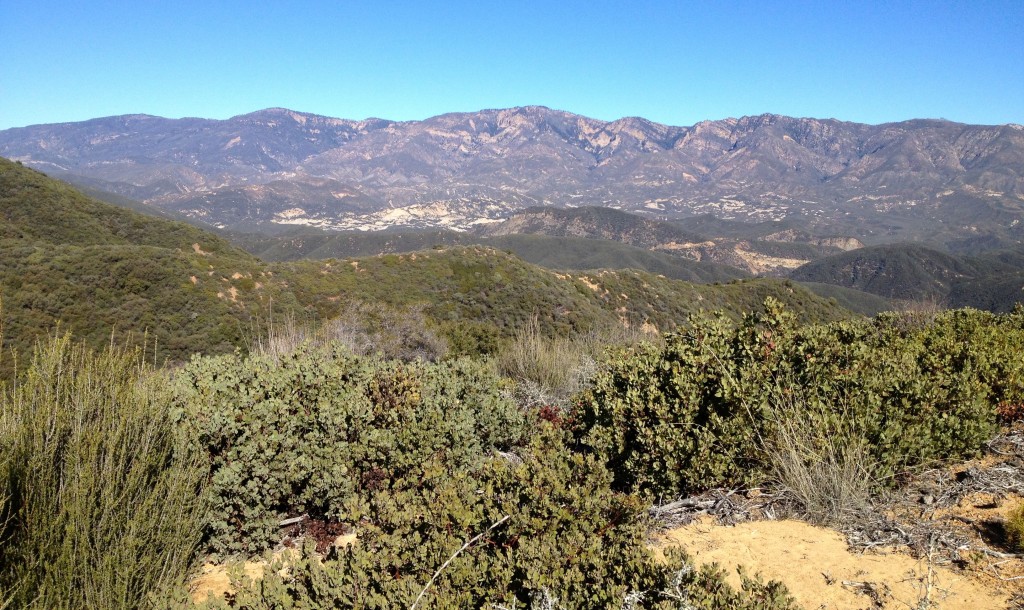 Looking down from the ridge at the Sespe Wilderness.