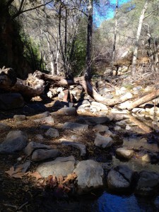 Creek crossing at the bottom of Horn Canyon