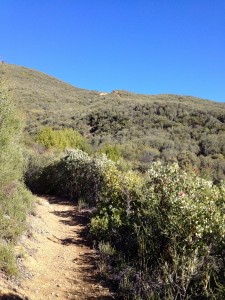 The final stretch up Gridley to the ridge.