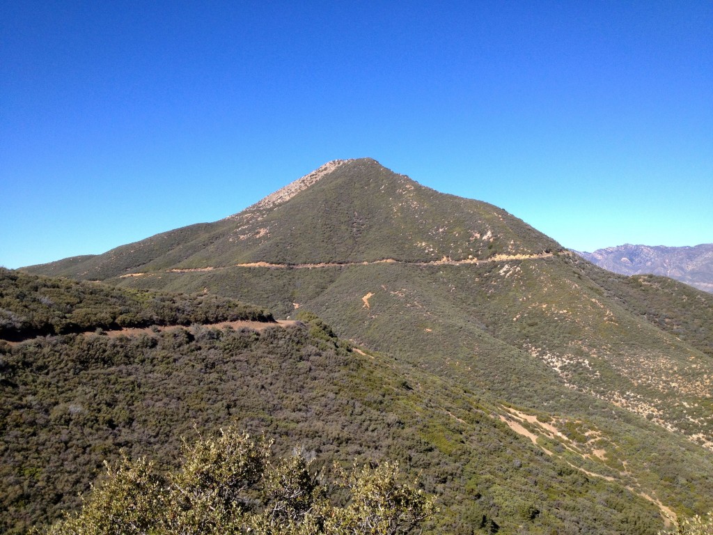 trail around Chief Peak