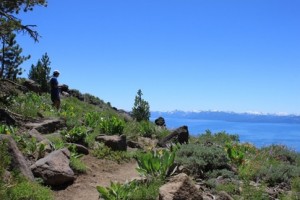 tahoe rim trail