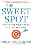 sweet spot cover