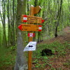 Oh, the places you'll go! I snapped this signpost midway through a 40K trail run in Tuscany on my 41st birthday.