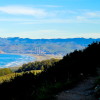 Morro Bay as seen from a trail in Montaña de Oro State Park. (This and other photos by Morgan C. Smith unless otherwise noted.)