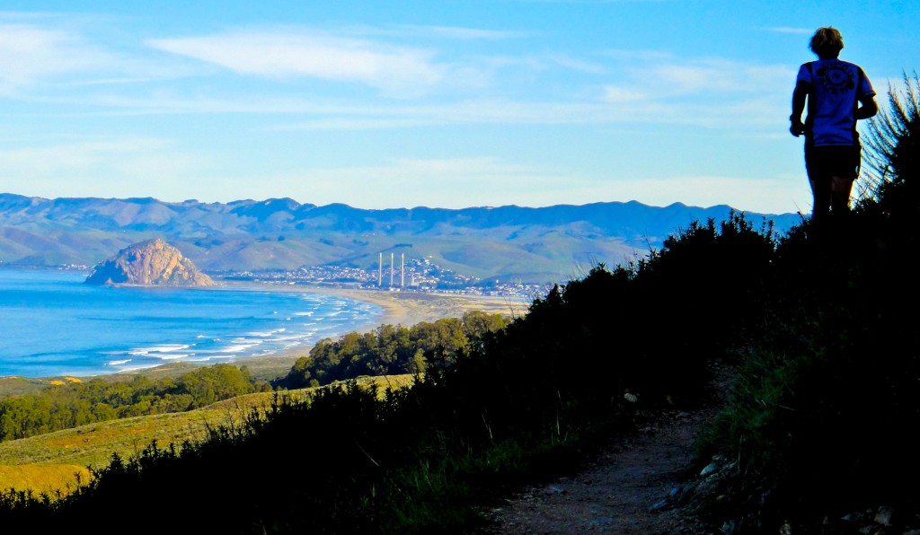 Morro Bay as seen from a trail in Montaña de Oro State Park. (This and other photos by Morgan C. Smith unless otherwise noted.)