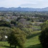 A vista of the Santa Ynez Valley along the Santa Barbara Wine Country Half Marathon course.