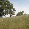 A shot of me running a relatively easy uphill in the Ohlone 50K (photo by Chihping Fu).