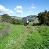 Running near Oyster Point on Mount Diablo during a 50K in 2009.