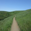 A runner on the Miwok course. Photo by Gretchen Brugrman of http://dailyadventuresgretch.blogspot.com/, a talented ultrarunner who will be at Miwok again.