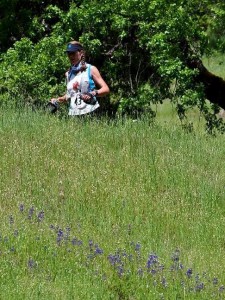 Springtime around Lake Sonoma! (Photo by Shelley Miller Mitchell)