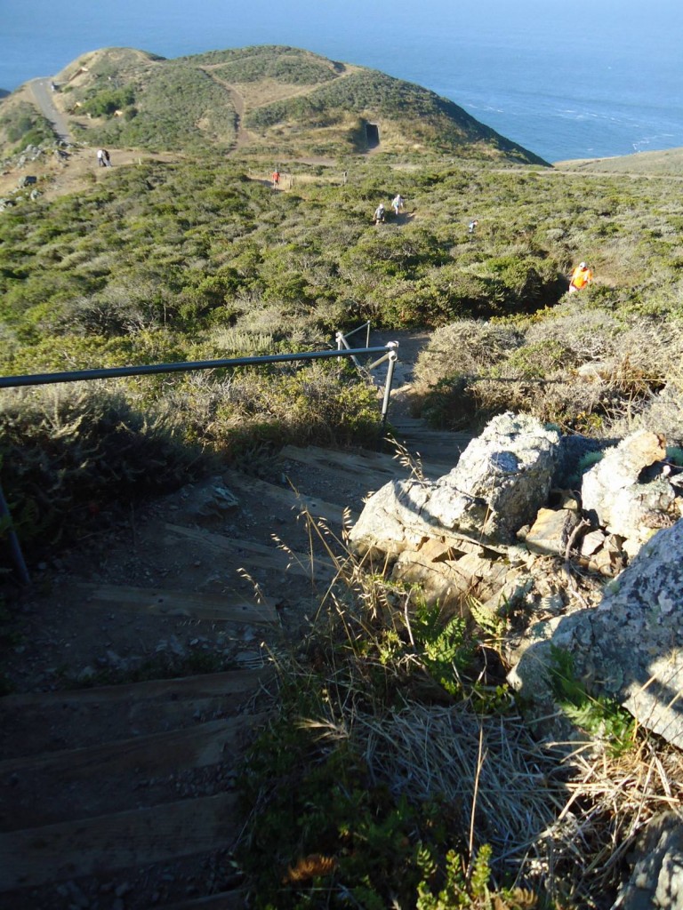 (Photo by Kynan Matz) I have run these stairs more times over the past seven years than I can remember ...