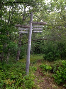 Signposts like this point the way at every intersection.