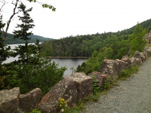 These granite blocks, aka "Rockefeller's teeth," line all the roadways around Acadia National Park.