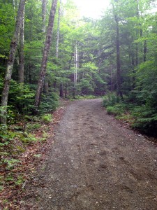 The multipurpose trail in Camden Hills State Park