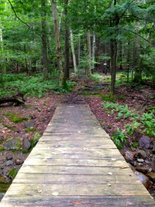 A footbridge leading to a singletrack trail in the park.