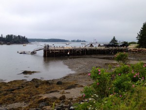 Sylvester Cove midway through a 10K run on Deer Isle.