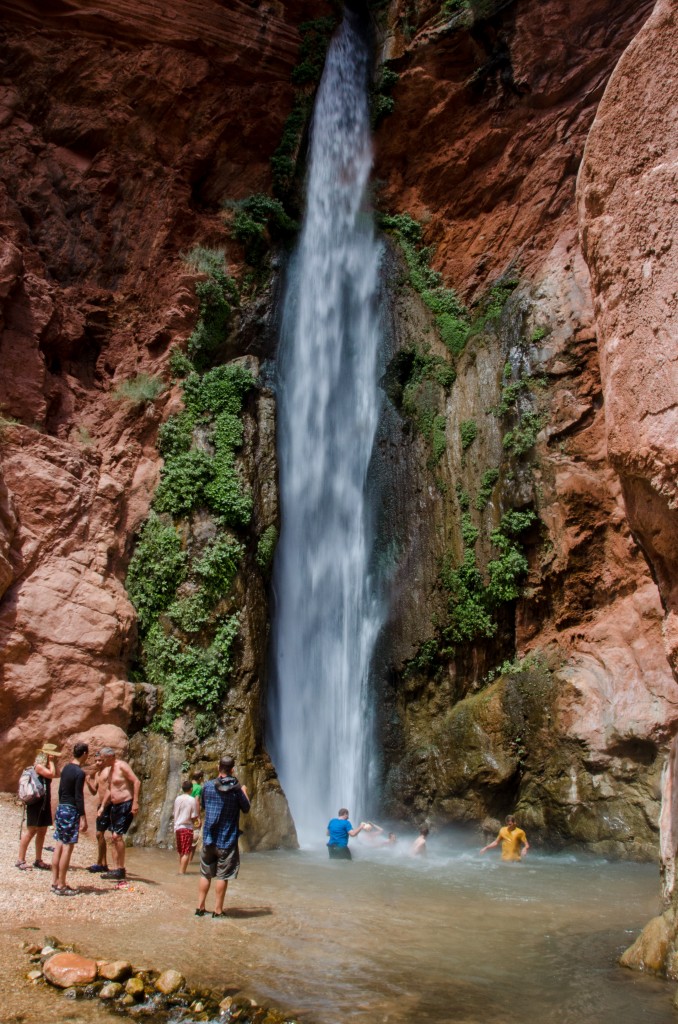 Group swim in blissfully fresh, clean water.