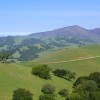 A glorious stretch of trail on the first half of the Mount Diablo 50K, with the summit and north peak in the distance. The finish line is on the other side of the horizon. Photo by Alvin Lubrino.