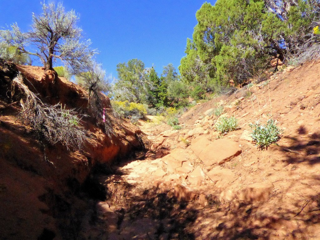 … up some gnarly terrain. Photo by Simon Dodd