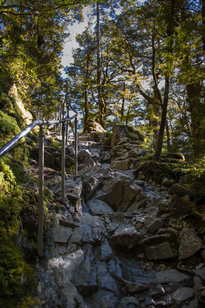 rocky climb up to Routeburn Falls Hut