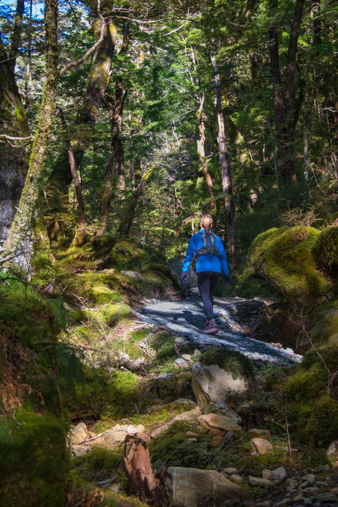 smooth track up to Flats Hut