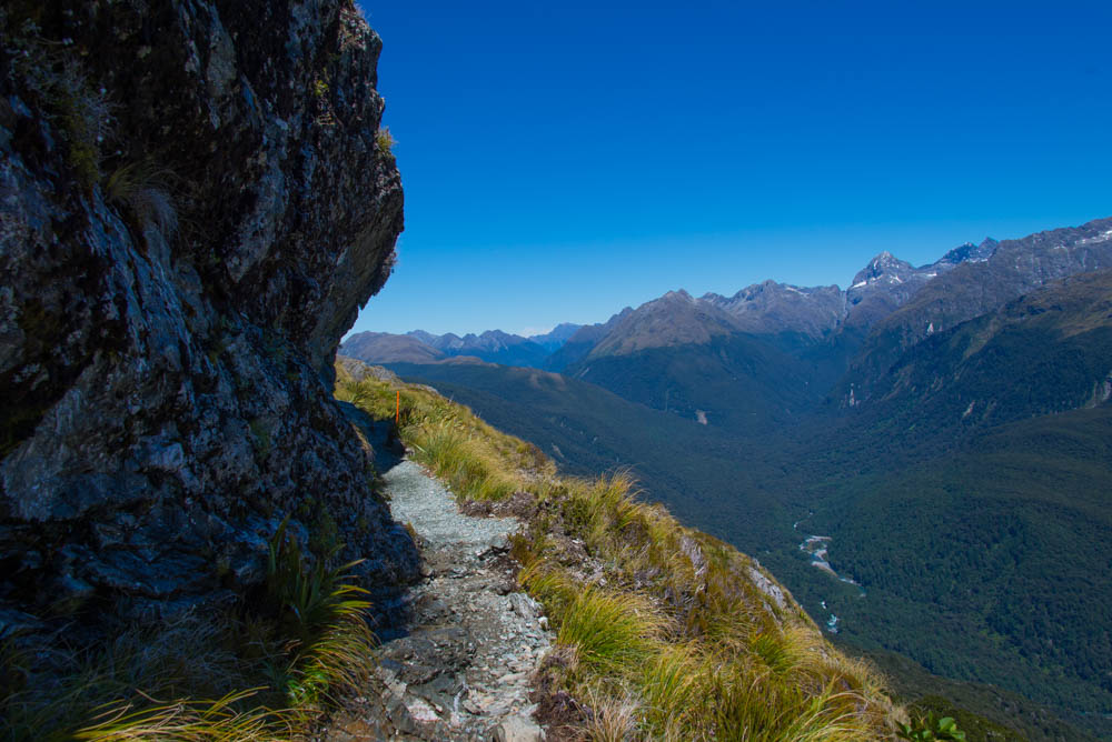 trail down from Harris on Hollyford Face