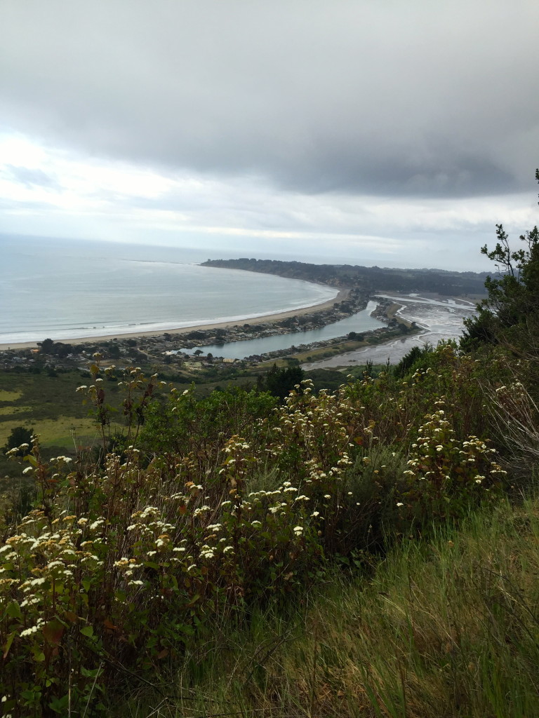 Stinson Beach