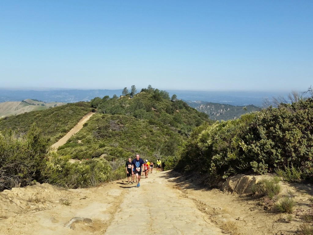 Wall Point Road portion of Mt D half marathon