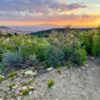 Looking east to see the sunrise above Monticello.