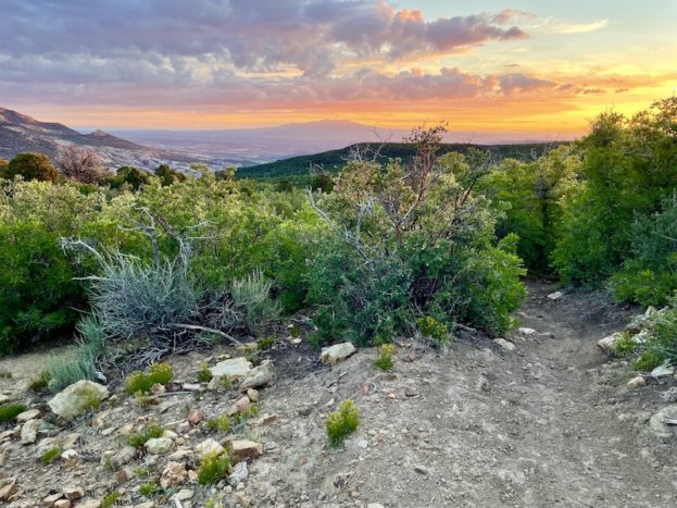 Looking east to see the sunrise above Monticello.